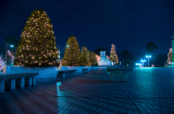 舞台となるロケ地を募集しています!